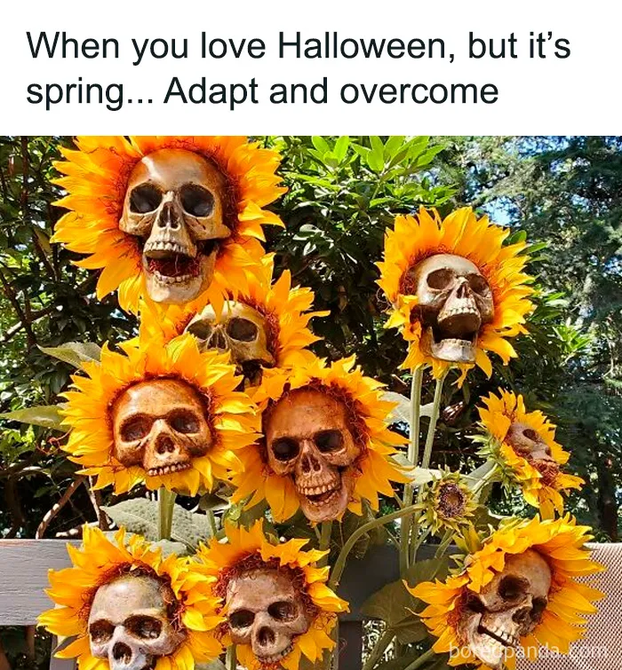 50 Horror Memes To Make You Laugh And Scream