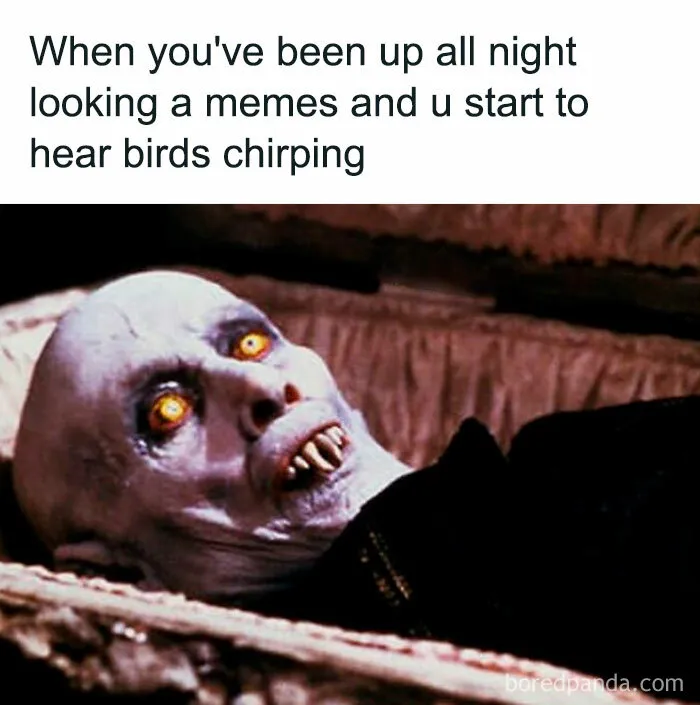 50 Hilariously Relatable Memes Inspired By The Best Horror Movies
