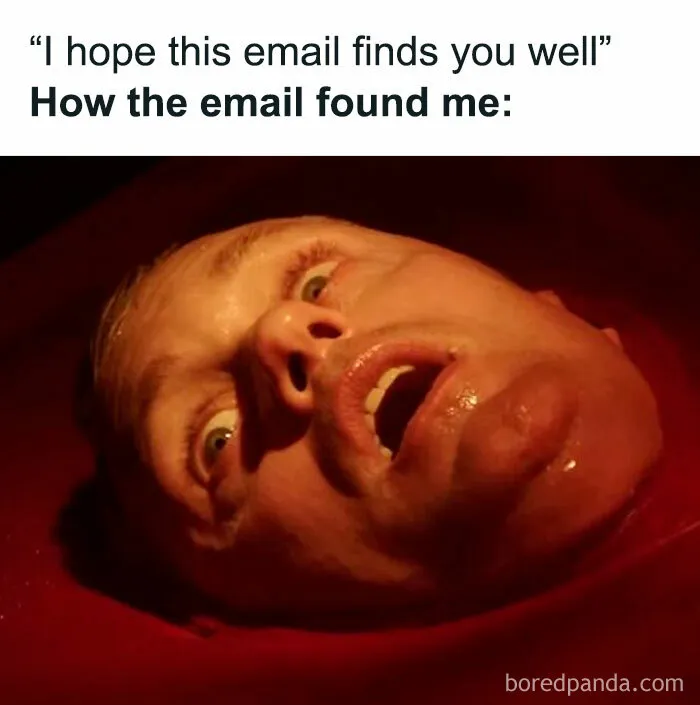 Close-up of a terrified man's face in a horror movie meme, capturing hilarious horror movie meme reaction humor.