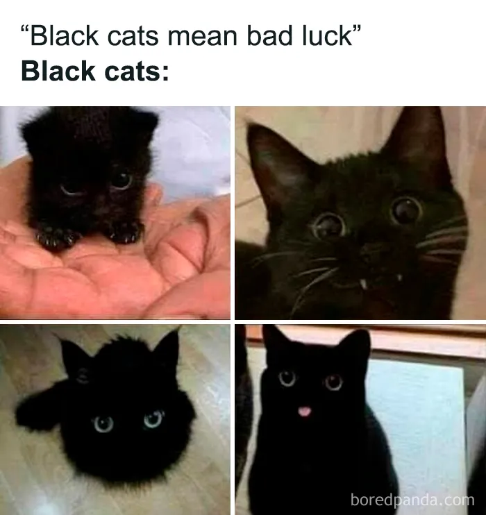 50 Horror Memes To Make You Laugh And Scream