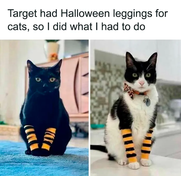 50 Horror Memes To Make You Laugh And Scream