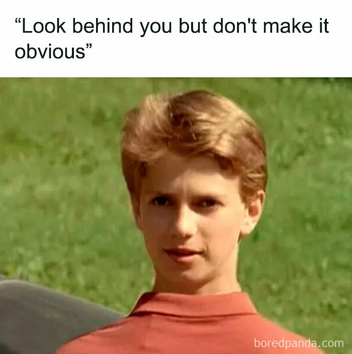 Funny-Horror-Memes
