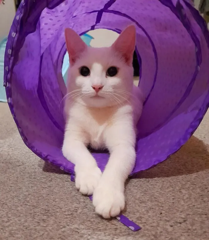 Marie (Albino) 