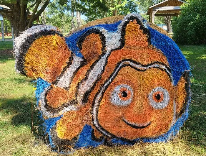 Nemo