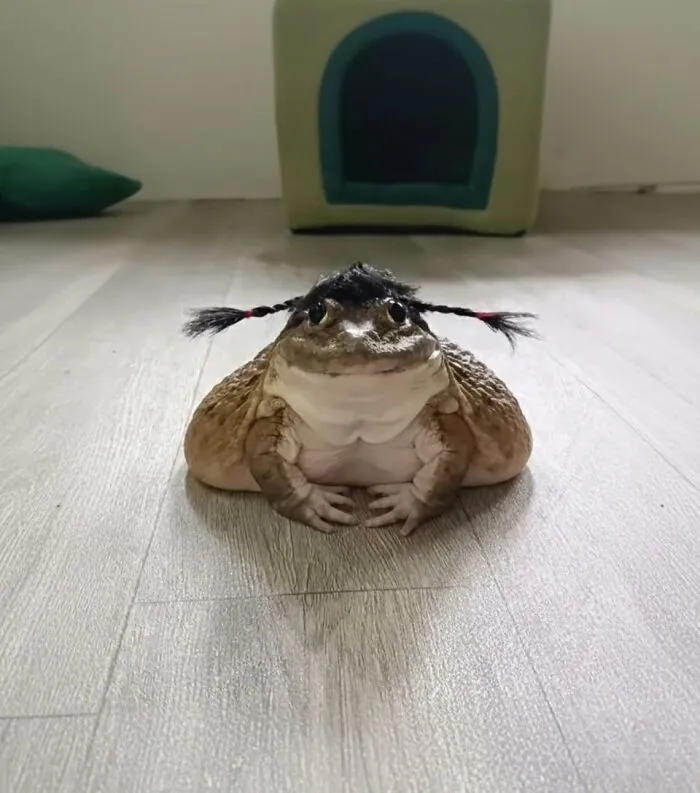 These 34 Animal Photos Are Proof That Nature Has A Great Sense Of Humor