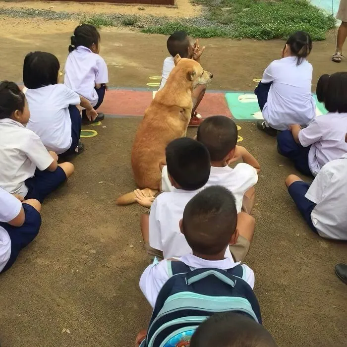 Children sitting outdoors with a dog among them, showcasing heartwarming animal photos capturing pure joy moments.