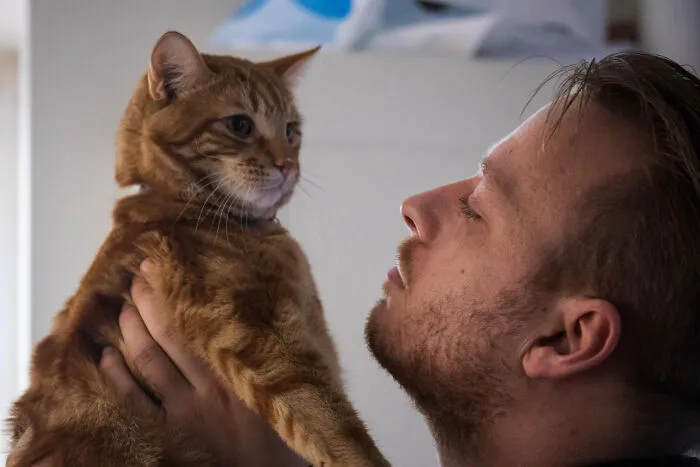 40 Tales Of Cats Being Absolute Hooligans, As Shared By Netizens