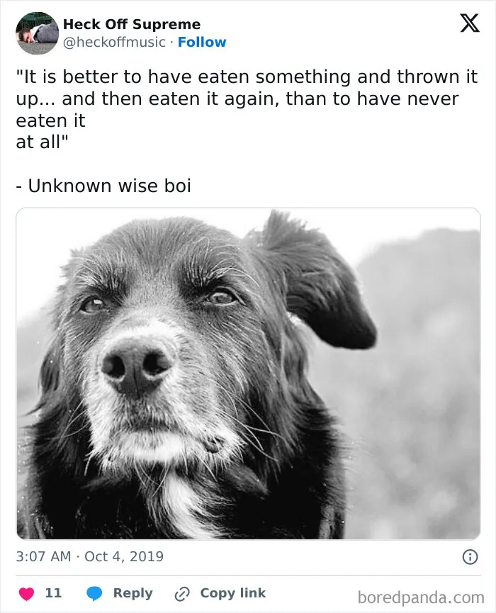 50 Truthful Memes About What It’s Like To Have A Dog
