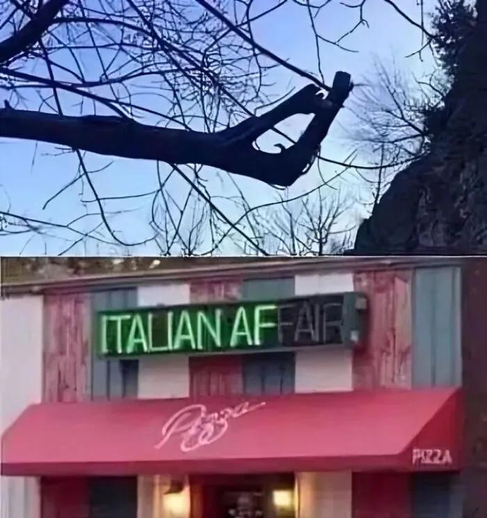 Question: How Italian Is Your Food?