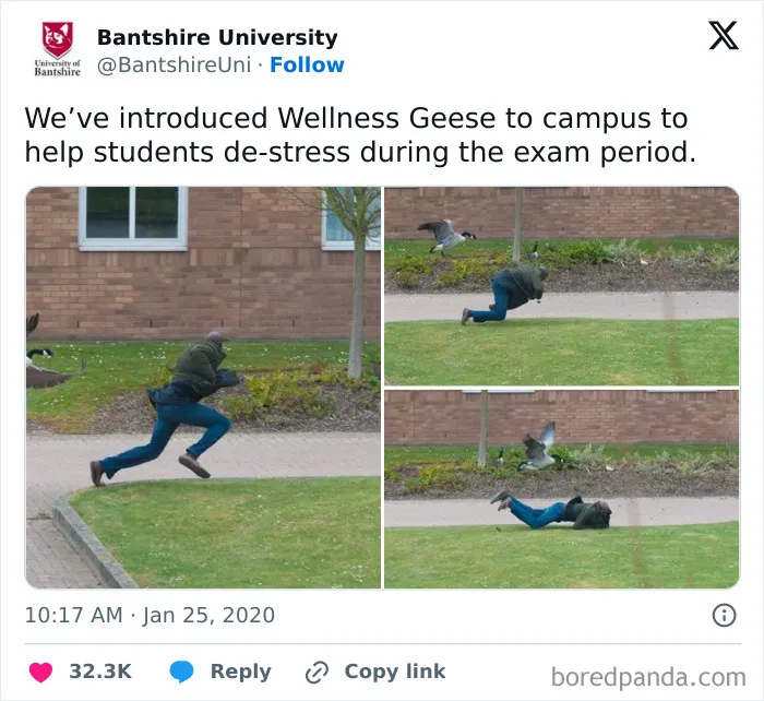 We’ve Gathered Funny Posts From X, Here Are The 50 Best Ones