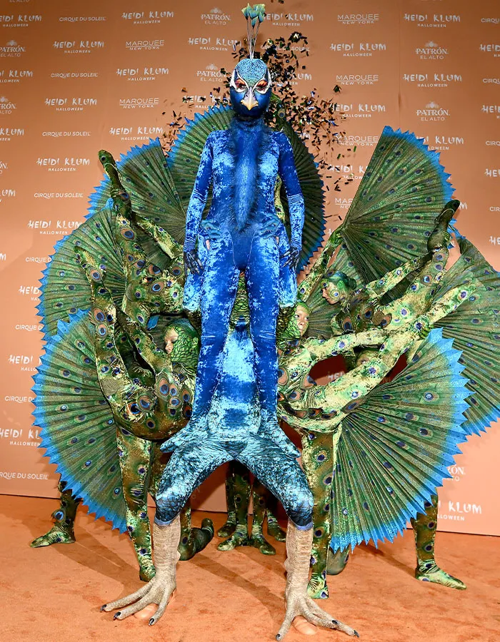 2023 -  A Peacock Themed Display With  5 Other People