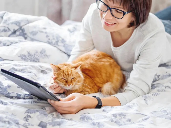 40 Tales Of Cats Being Absolute Hooligans, As Shared By Netizens