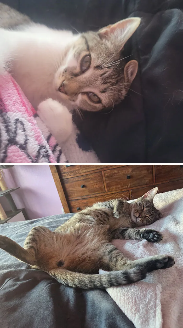 Our Baby Bella: First Day Home vs. 3 Days Ago
