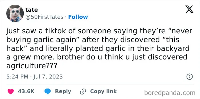 We’ve Gathered Funny Posts From X, Here Are The 50 Best Ones