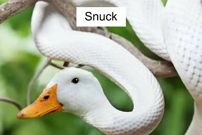 50 Chaotic Images Where "Things Only Get Weirder" The Longer You Look (New Pics)