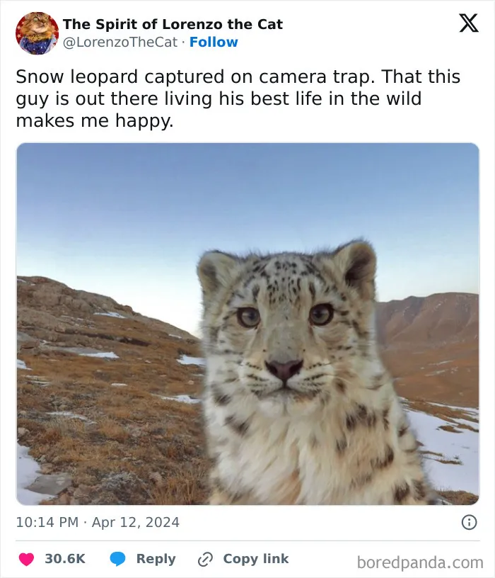 50 Uplifting Posts From This Instagram Page That Might Brighten Your Whole Day (New Pics)
