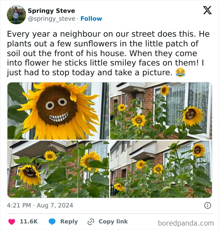 50 Hilarious Memes For Anyone Who Needs A Laugh Today