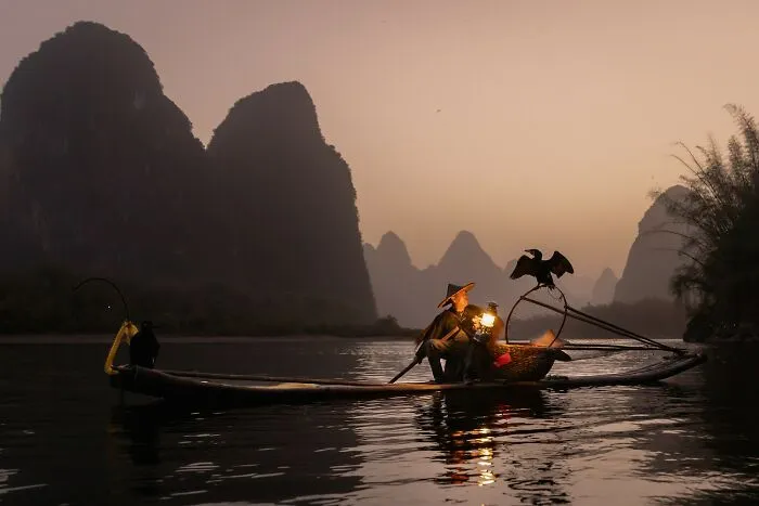 Gold In Travel Category (Non-Professional): "Cormorant Fishing" By Jo Martindale