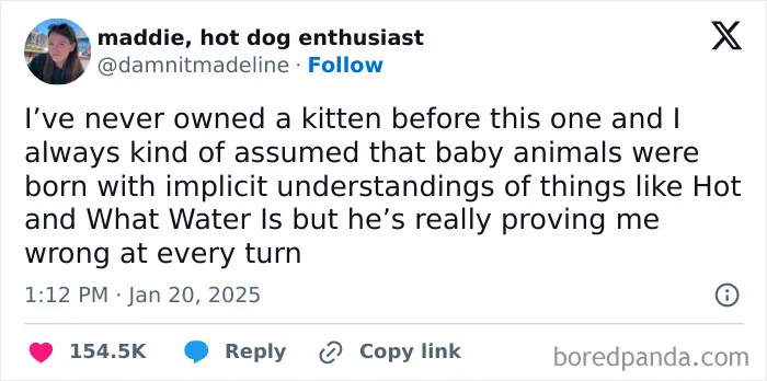 We’ve Gathered Funny Posts From X, Here Are The 50 Best Ones