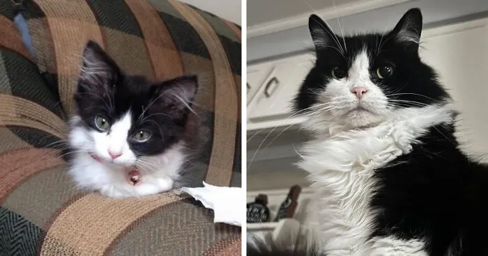 Just Celebrated 12 Years With My Baby Girl 🖤
