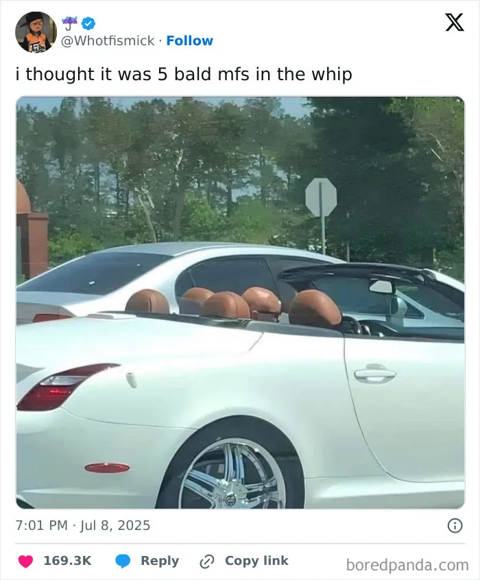 We’ve Gathered Funny Posts From X, Here Are The 50 Best Ones