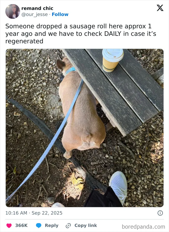 We’ve Gathered Funny Posts From X, Here Are The 50 Best Ones