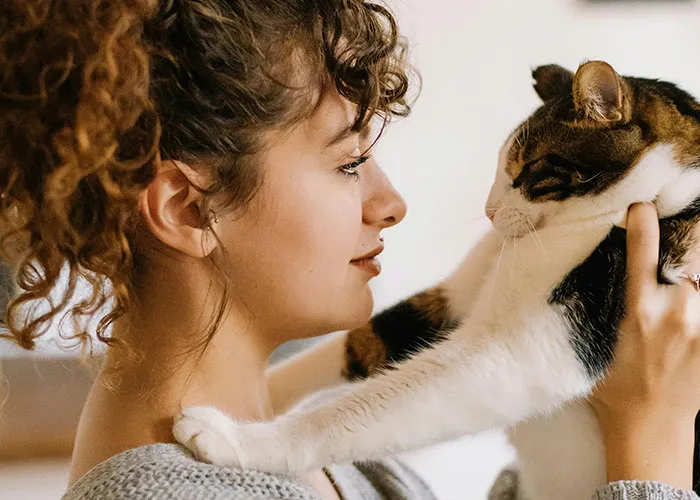 “Blow On Their Nose”: People Have Firsthand Experience That These 45 Cat Hacks Work