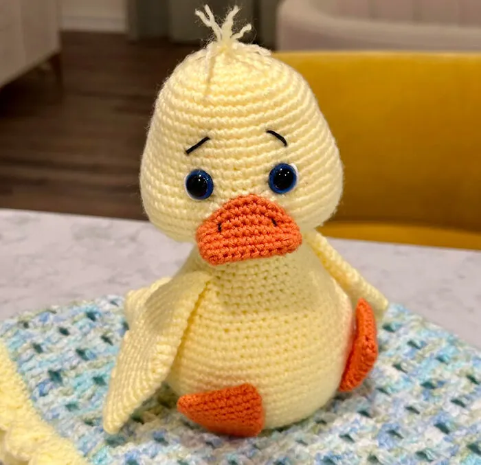 Sad Duck
