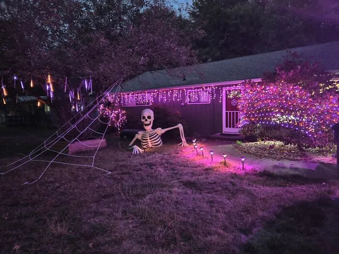 This Is Stanley The Skeleton