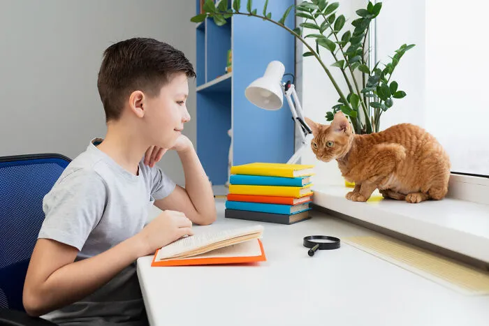 40 Tales Of Cats Being Absolute Hooligans, As Shared By Netizens