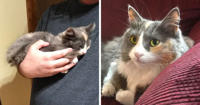 Clonazepam Was A 4 Month Old Watercolor Baby. Now She’s 7