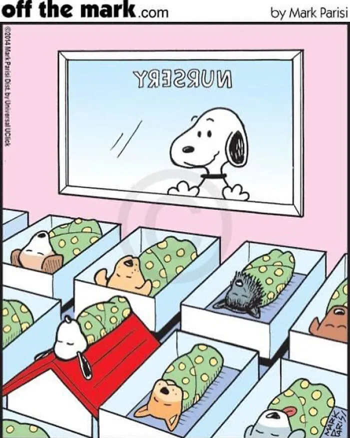 The 30 Best Cartoons By Mark Parisi That Turn Everyday Moments Into Comedy Gold