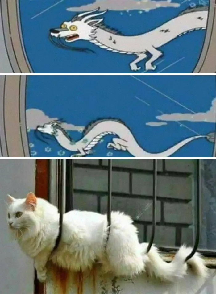20 Memes gatunos tan divertidos como adorables para calentarte el alma