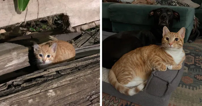 Arnold Goes From Trash Boy To Best Boy