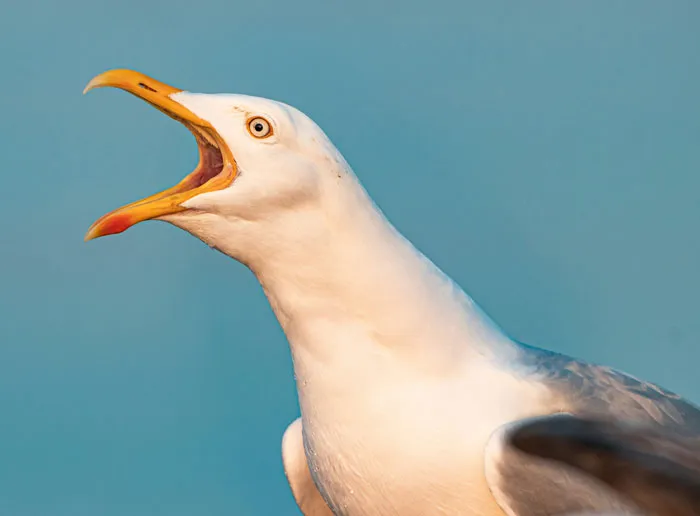 44 Freaky Coincidences That Had People Doing A Double Take