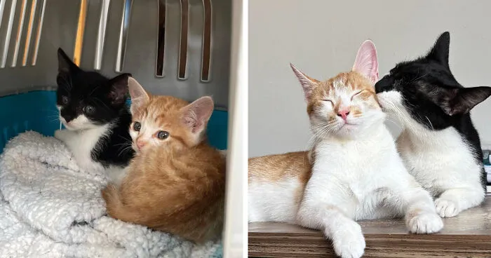 They Grew Up So Well 🥹