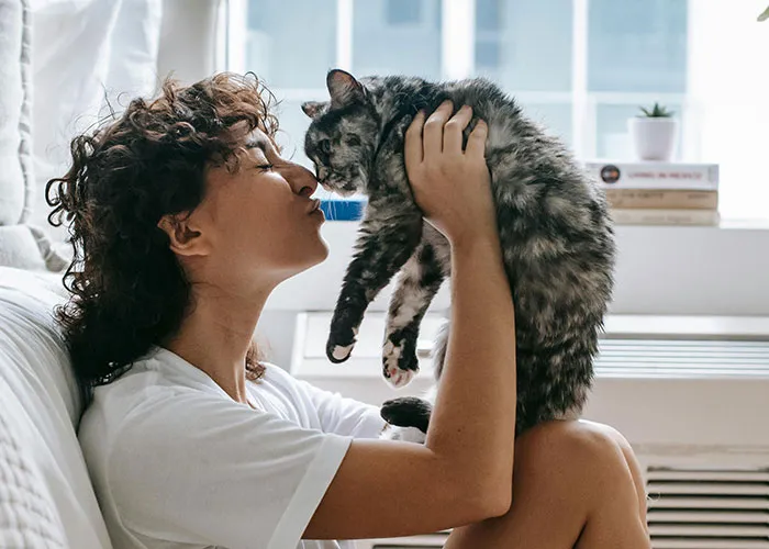 “Blow On Their Nose”: People Have Firsthand Experience That These 45 Cat Hacks Work