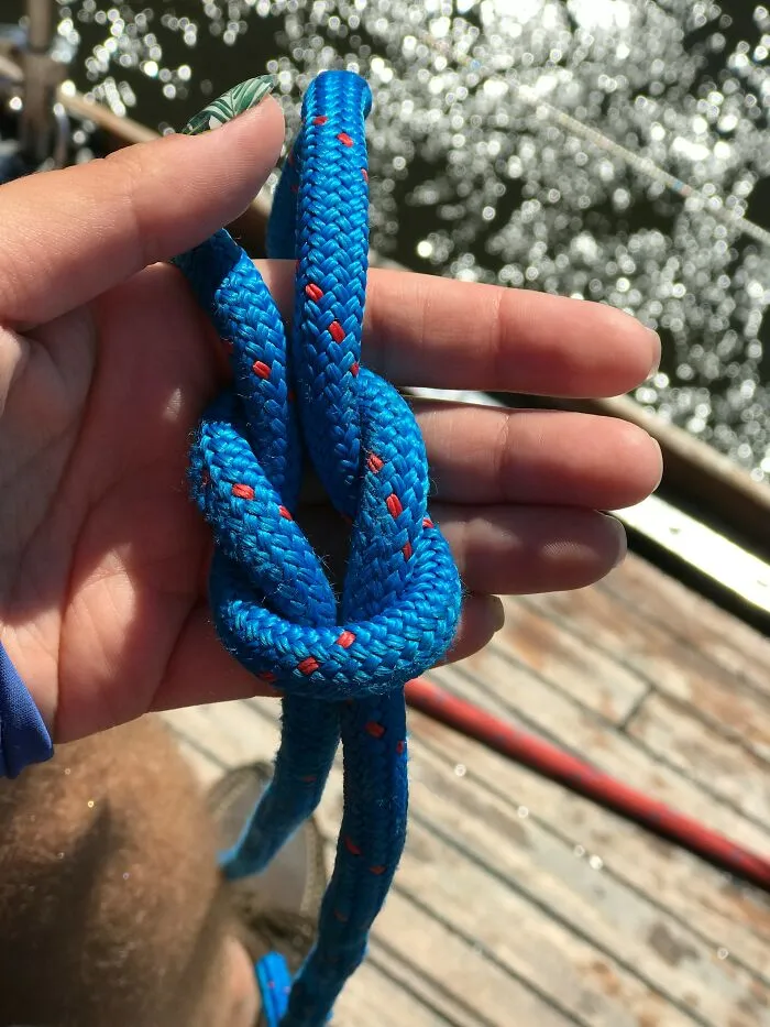 “Learn How To Swim”: People Say To Dedicate 10 Hours To These 46 Skills That Pay Off Big-Time