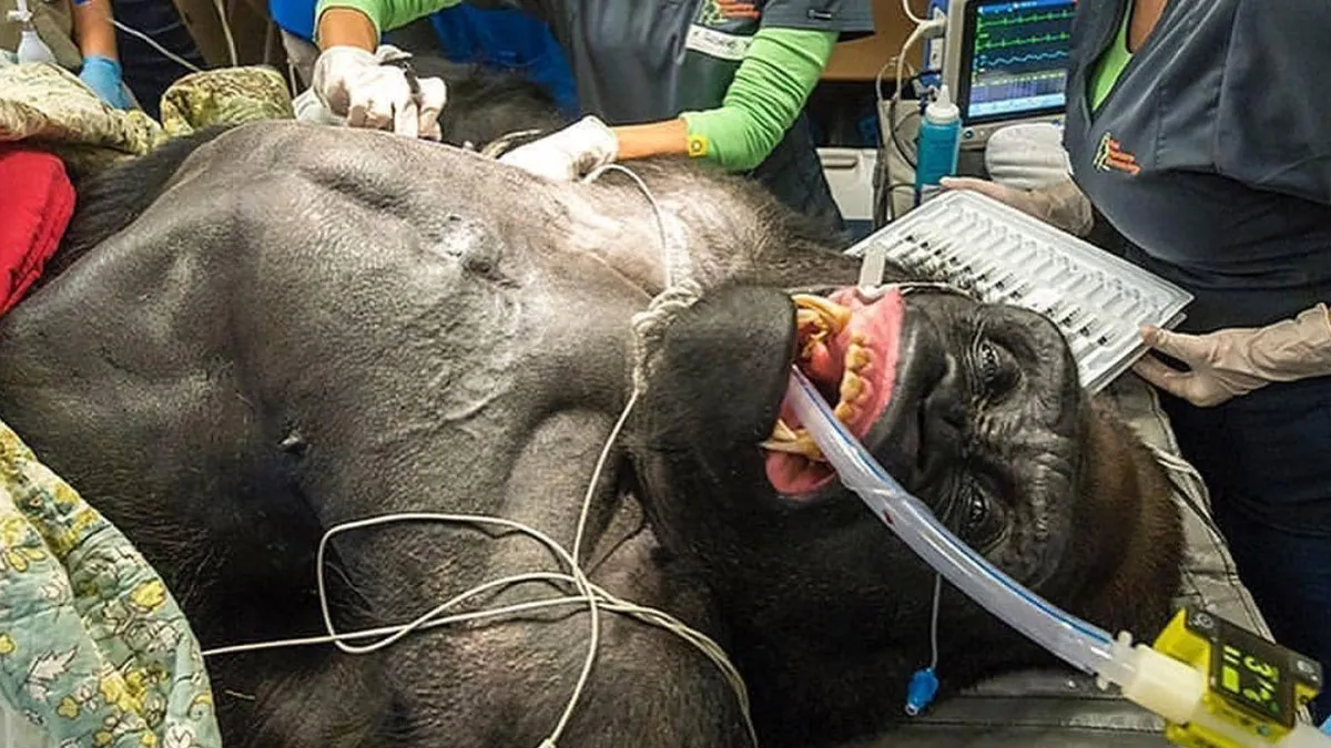 50 Of The Most Frightening Photos People Have Ever Taken While On The Job (New Pics)