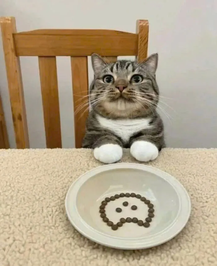 50 Pics Of Cats So Adorable They Should Probably Be Declared National Treasures