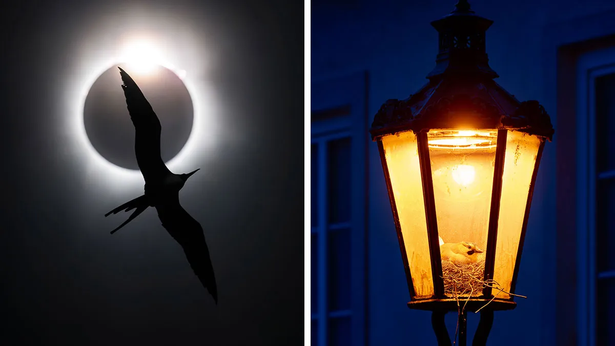 The Finalists Of  Photographer Of The Year Are In And Here Are 26 Winning Images