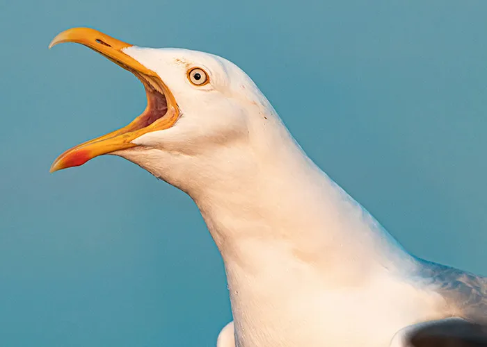 20 Historias con los mejores momentos de karma instantáneo