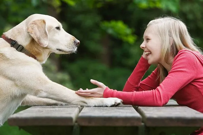 You can talk to animals, but they all gossip about you