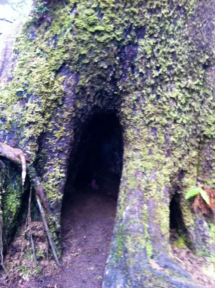 Someone Asked People To Share The Creepiest Photos They’ve Ever Taken, And 46 Deliver