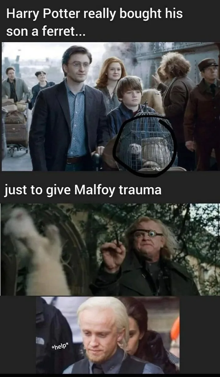 I Think I Would Have Done The Same