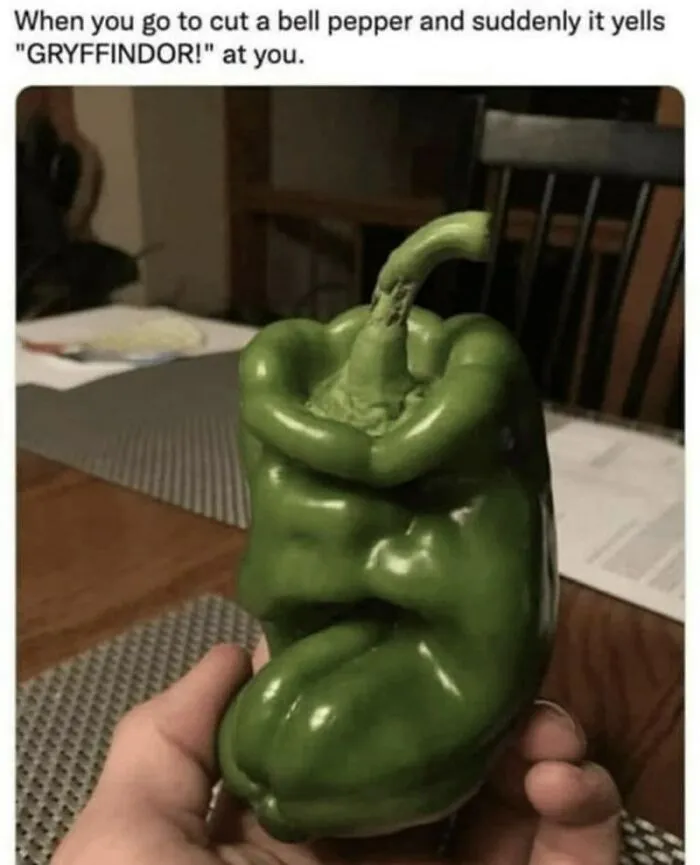 When Your Veggies Try To Sort You Into Hogwarts Houses
