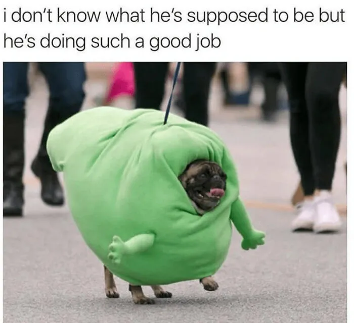 Good Boy