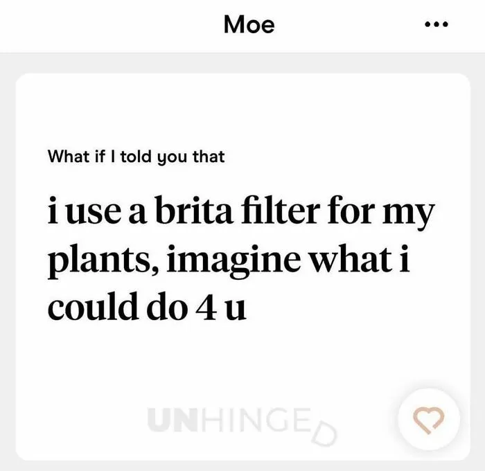 Dating app message humor with a playful line about using a Brita filter for plants and potential romance.