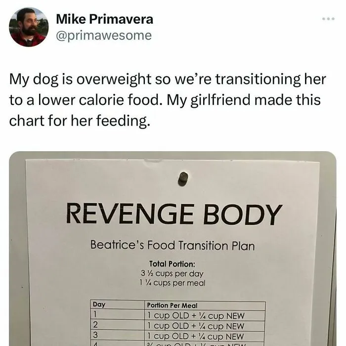Tweet about a humorous dog food transition plan chart, featured in prime awesome tweets collection.