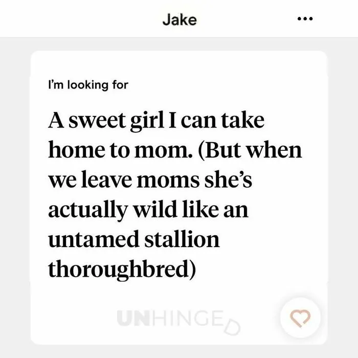 Dating app profile text showing a man seeking a sweet girl who is wild away from moms, with unhinged humor.